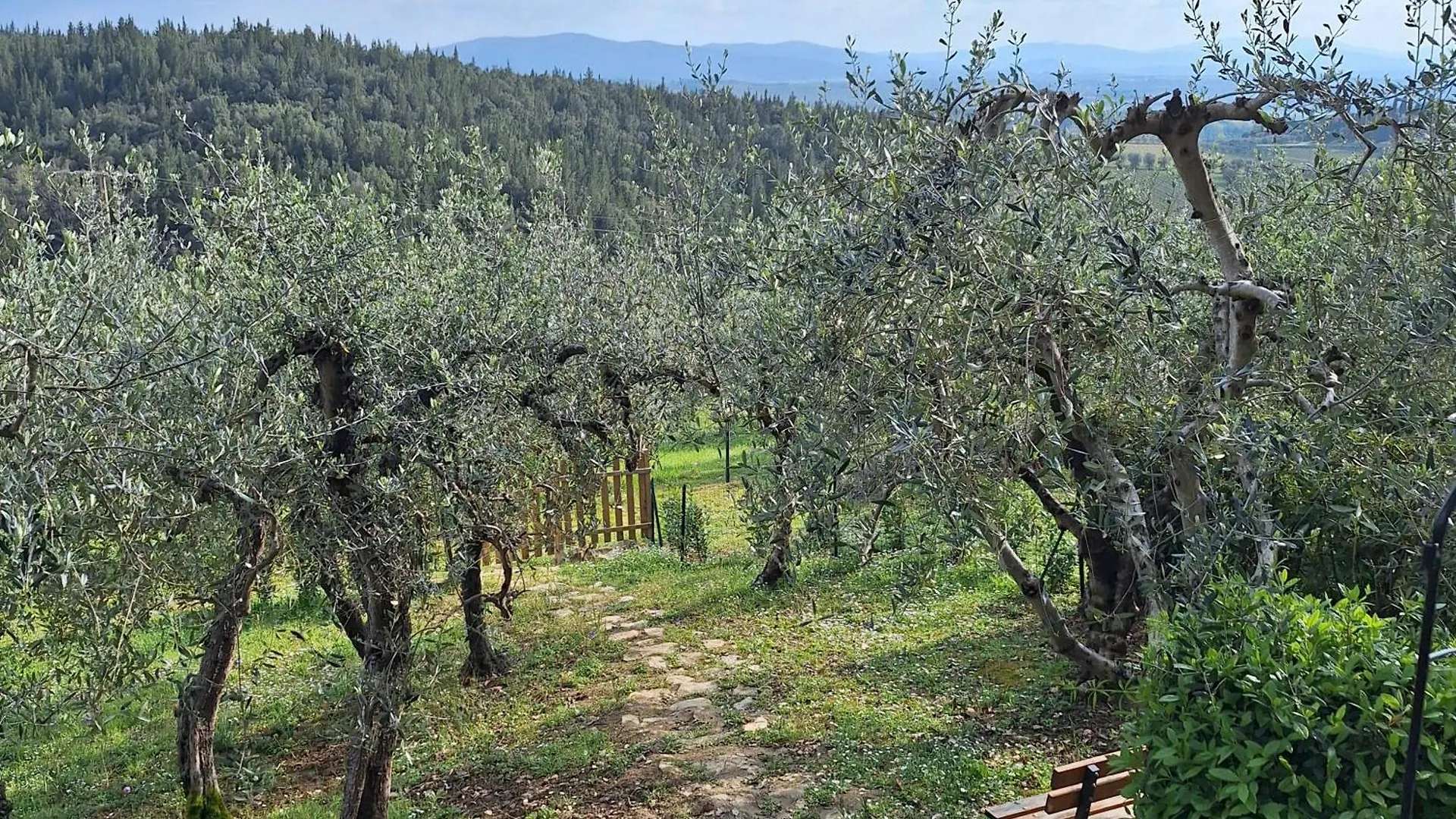 Casa Vacanze Nel Chianti Il Granaio Castellina in Chianti Holiday home